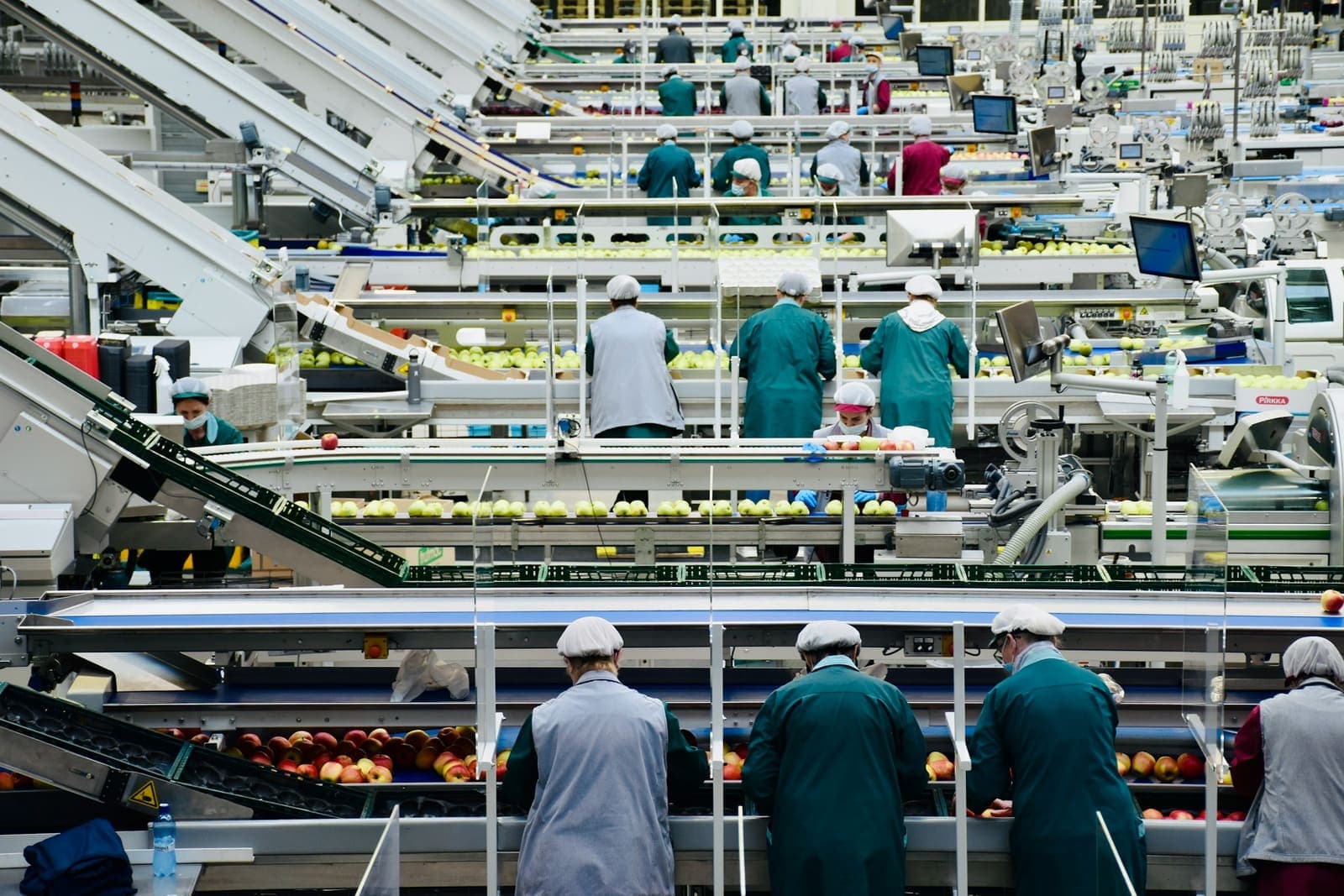 Staff inspecting produce on an apple processing line inside a food manufacturing plant